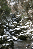 写真が語る奈義町のあゆみ_2005(平成17)年_奈義町の冬の風景