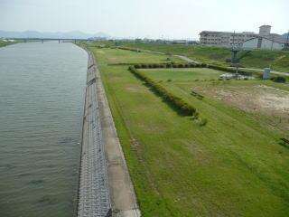 中川橋から南を見る