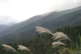 写真が語る奈義町のあゆみ_2004(平成16)年_那岐山系の雲海・山並み