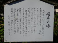延寿の椿説明