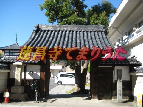 現在の蓮昌寺正門