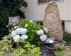 hCzLO