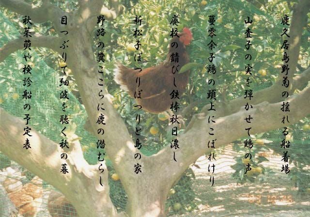 vŉr񂾋